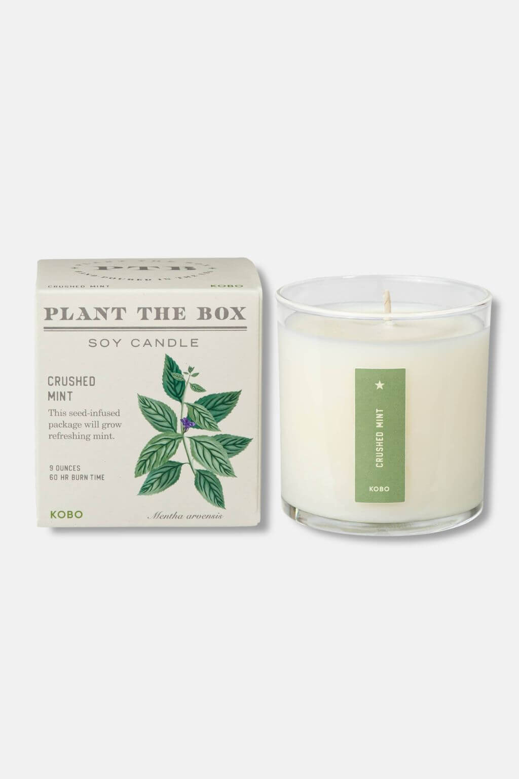 Crushed Mint "Plant the Box" Jar Candle