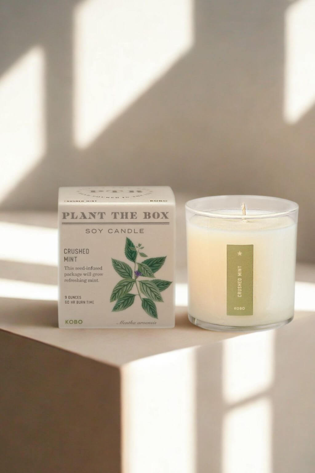 A soy candle in a clear glass jar sits beside its white product box on a beige surface, with soft window light casting shadows across the scene. The box reads "PLANT THE BOX" and "CRUSHED MINT"