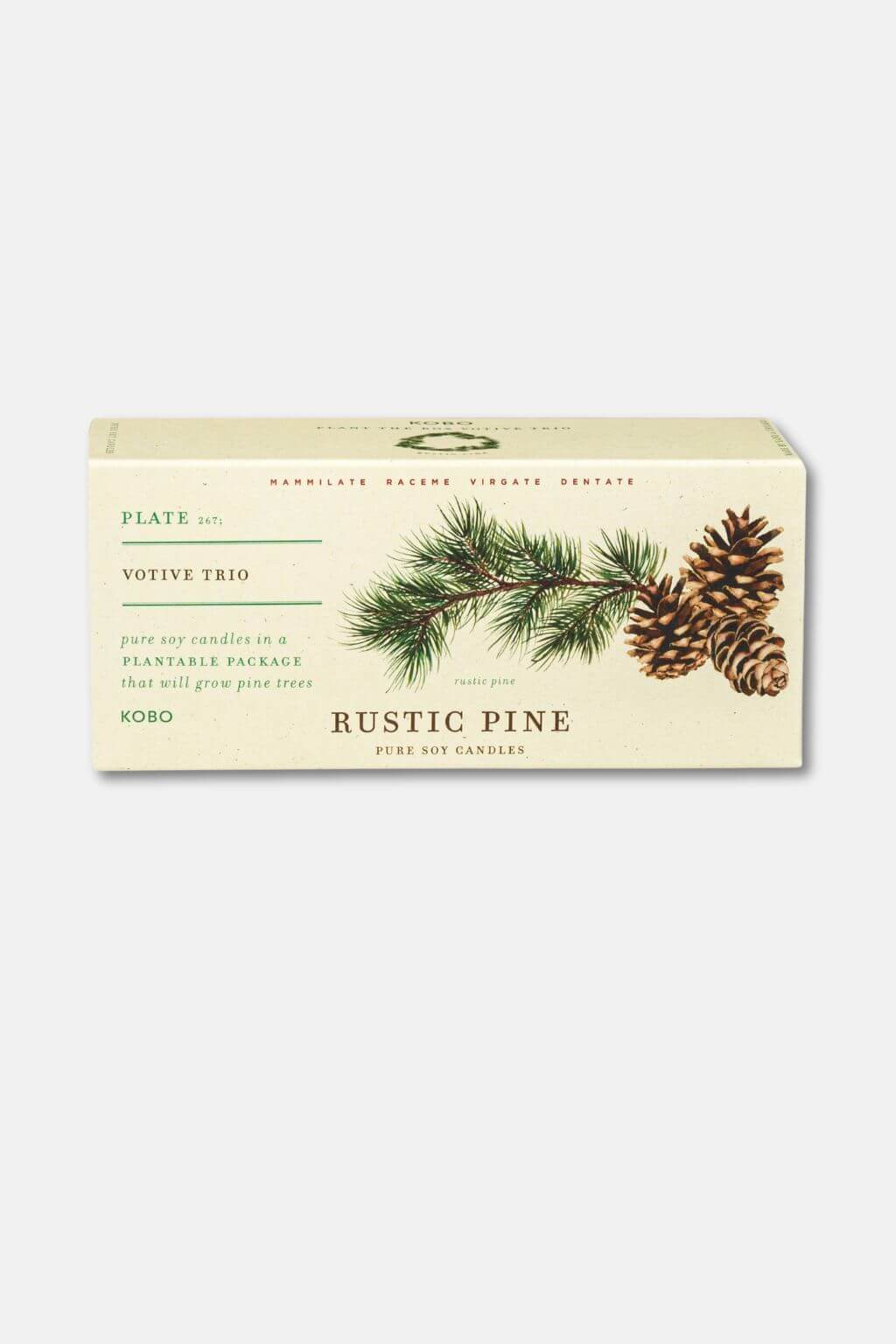 Box of Rustic Pine candles with a pine branch and cone on a white background
