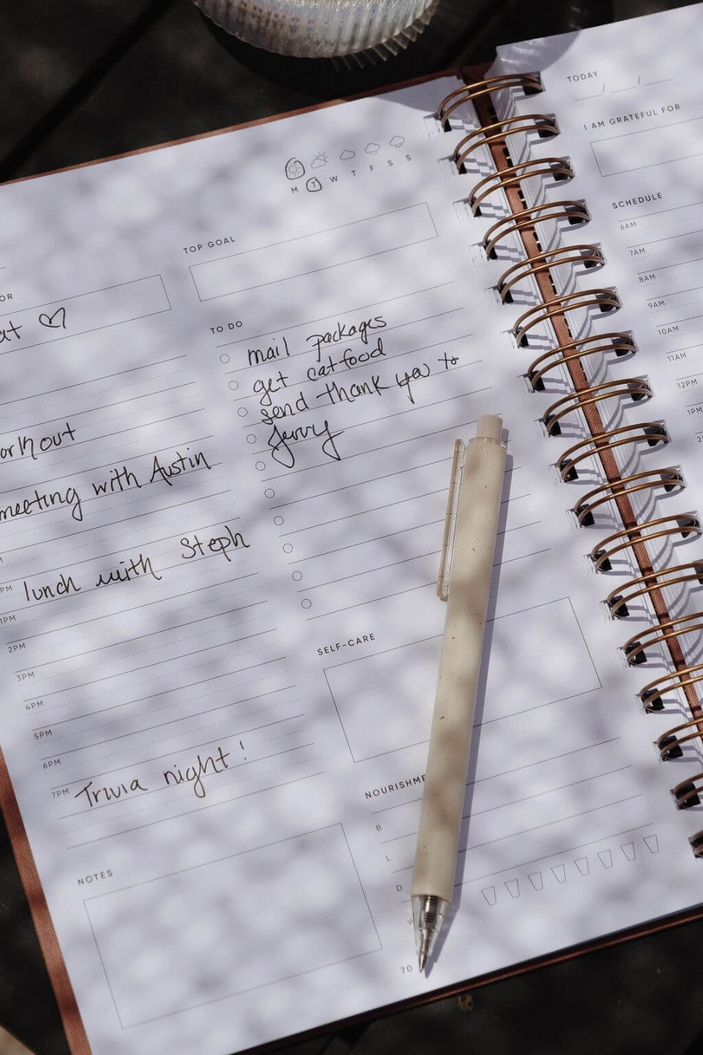 The Self Care Planner, Daily Edition | Undated Wellness Planner + Habit Tracker – Sand Grey