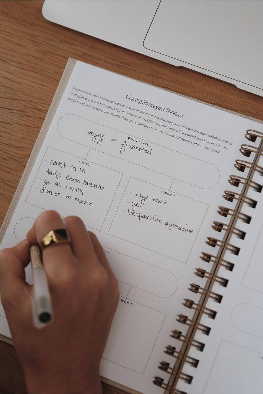 The Inner Work Journal | Guided Mental Health Journal + Wellness Workbook – Sage Linen