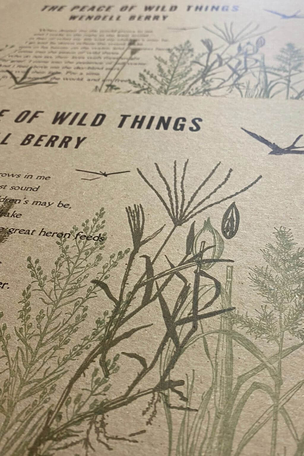 A close-up of a printed page featuring botanical illustrations and text, including the title 'The Peace of Wild Things' and 'Wendell Berry,' with black line drawings of plants and birds on a warm beige background.