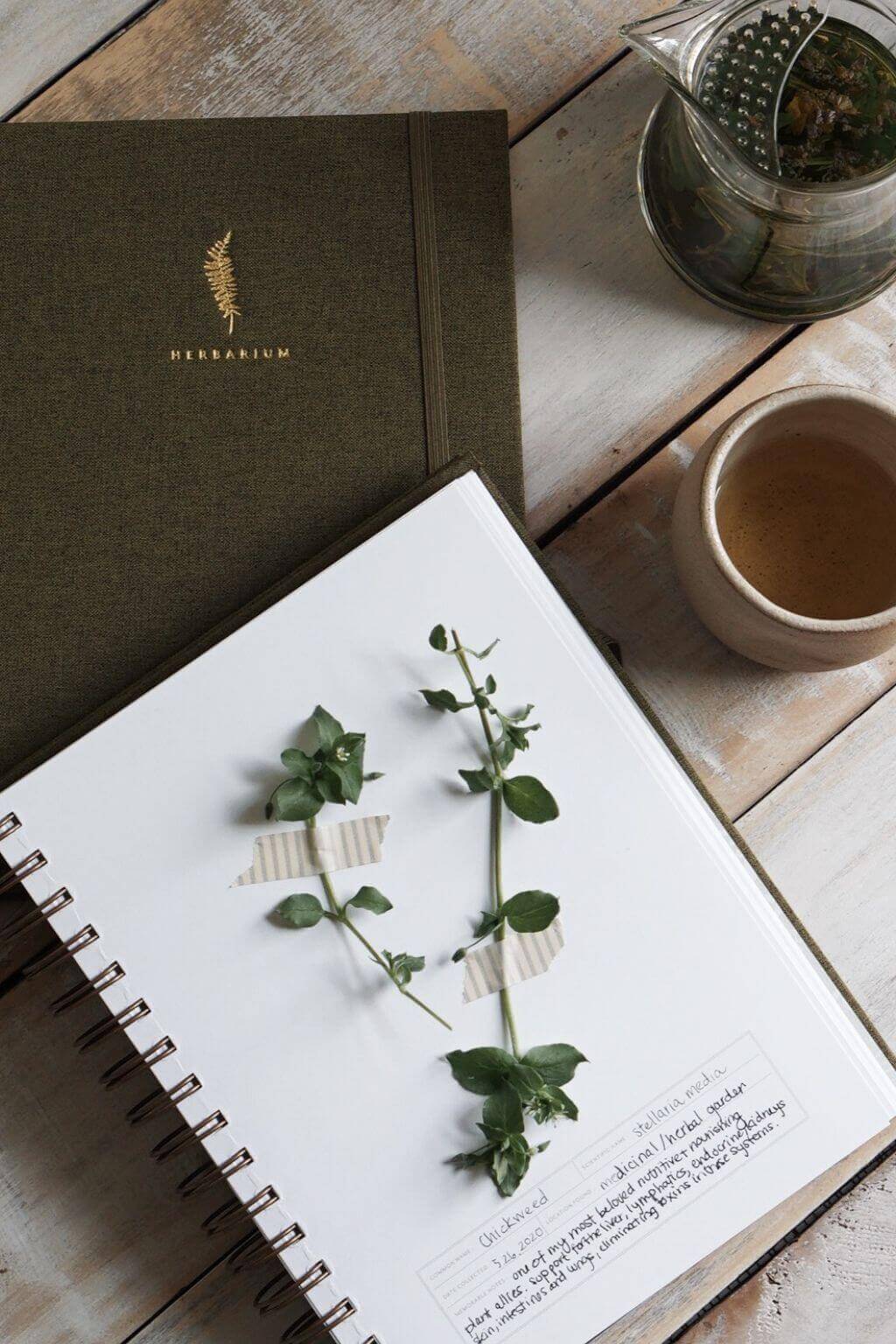 Herbarium Journal | Botanical Specimen Collecting Journal