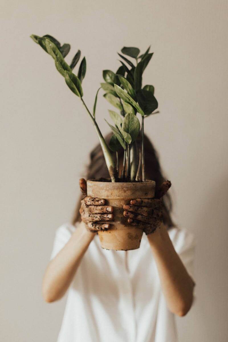 Dear Juniper: Gifts for Nature Lovers Collection, Woman Holding Plant in Terracotta Planter