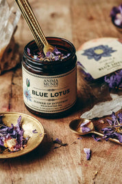 A jar of Anima Mundi Blue Lotus flower of intention tea sits on a rustic wooden table, surrounded by dried blue lotus petals, a brass spoon.