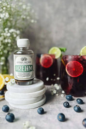 A small bottle of Anima Mundi 'Dream' Elixir displayed on a stack of white ceramic dishes, with two dark berry cocktails garnished with lime slices in the background.