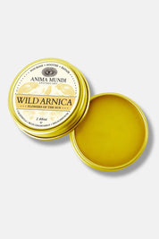 Anima Mundi Apothecary Wild Arnica balm in a round gold metal tin, shown open with the lid displaying the product label and the balm inside visible.