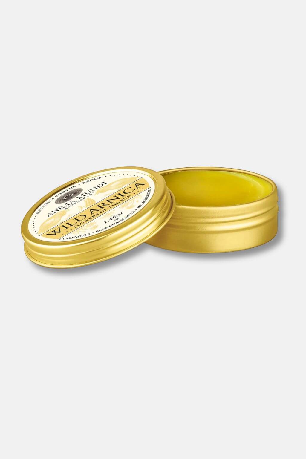 A round gold metal tin of Wild Arnica balm with its lid off, showing the yellow balm inside, on a light gray background.