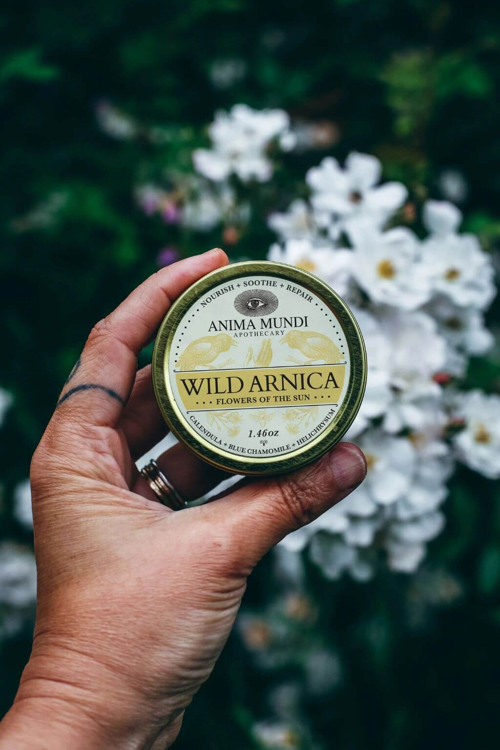 A hand holds a round metal tin of Anima Mundi Apothecary's Wild Arnica Balm against a blurred background of green foliage and white flowers.