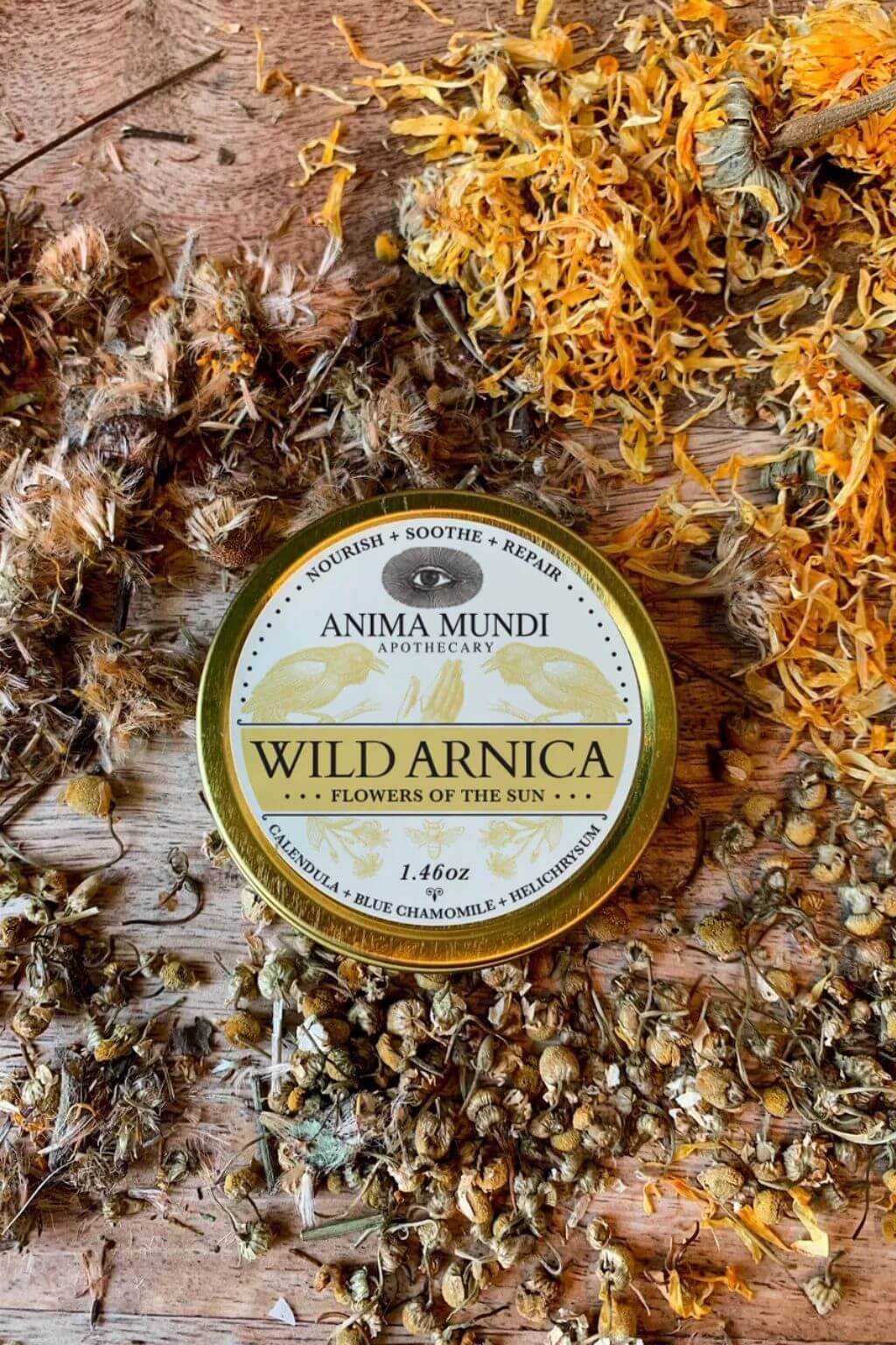 A round metal tin of Anima Mundi Apothecary Wild Arnica Balm - flowers of the sun - styled on a rustic wooden surface surrounded by dried chamomile and yellow calendula flowers.
