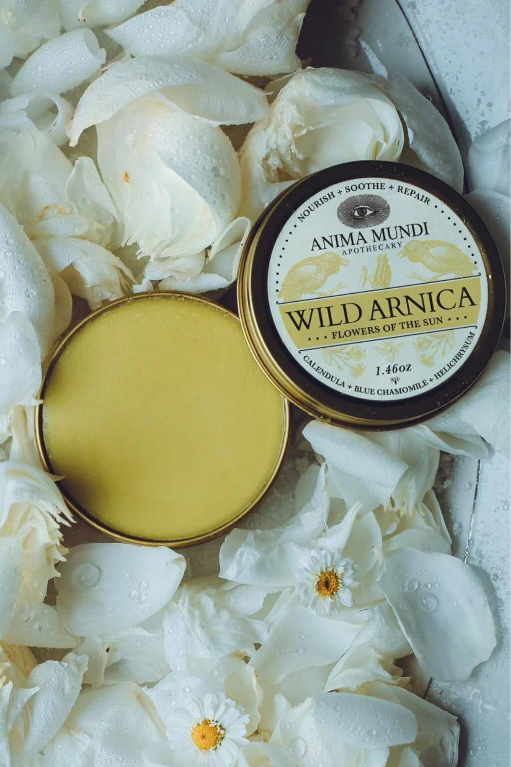 An open round tin of Anima Mundi Wild Arnica balm lies on white flower petals, with the lid placed beside it. The balm inside is a pale yellow, and the lid label is cream and dark brown with gold text.