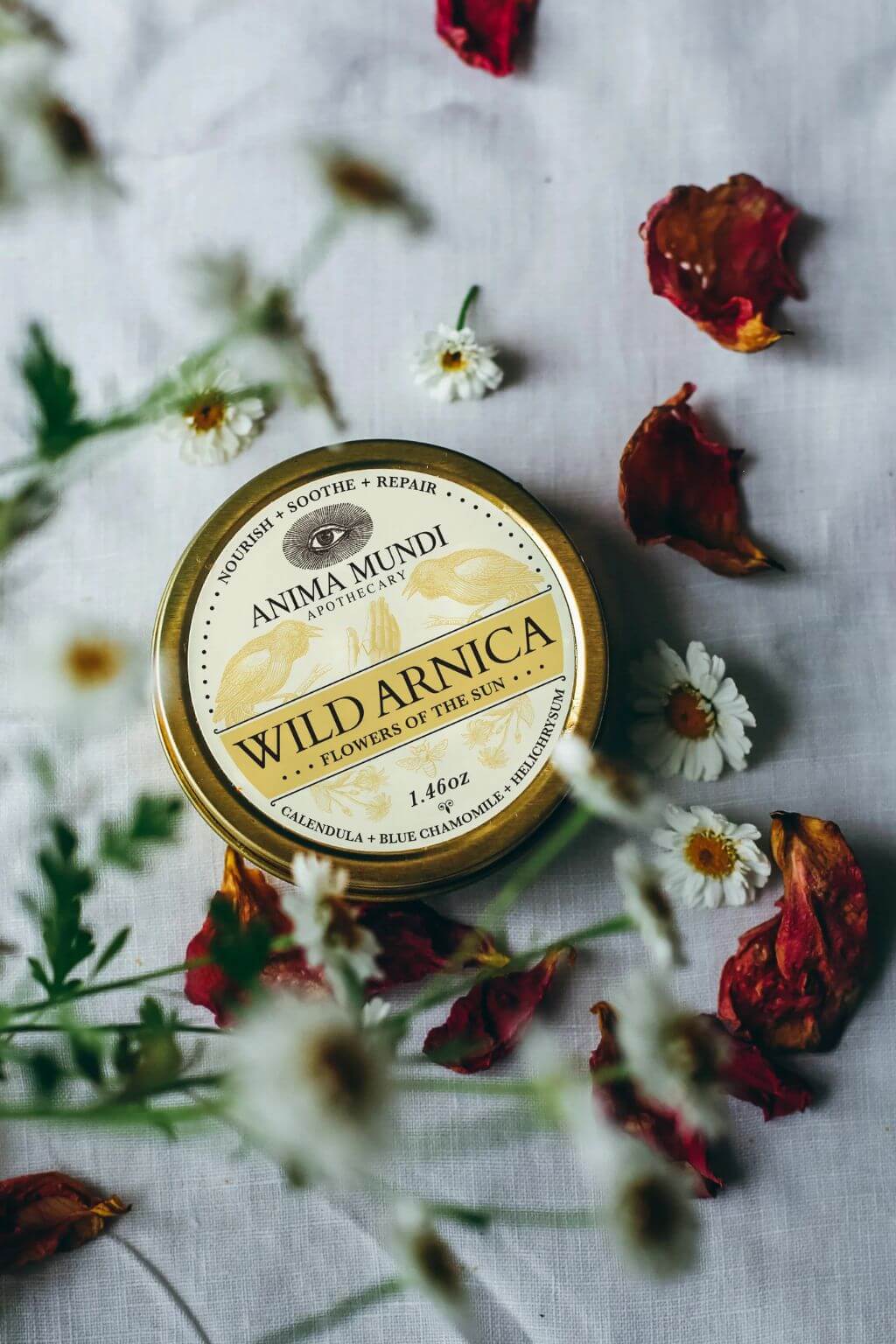 A round gold tin of Anima Mundi Botanicals 'Wild Arnica' botanical balm, styled on a light gray linen fabric with white chamomile flowers and dried rose petals.