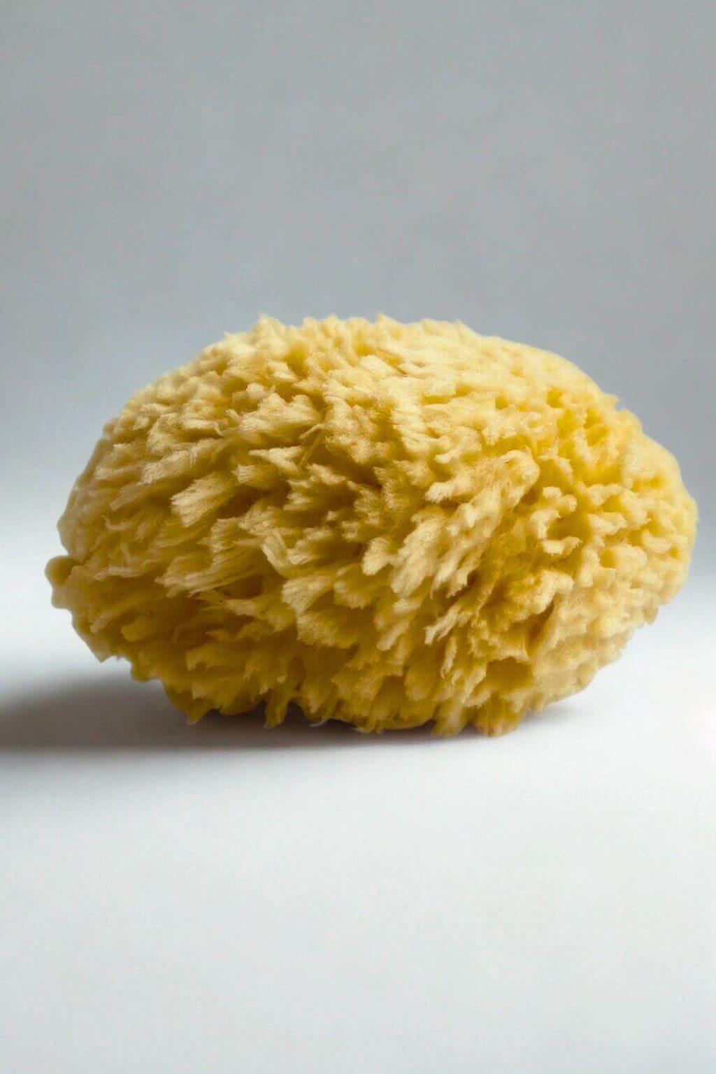 Native American Sponge Natural Sea Sponge | Mediterranean Wool Bath Sponge – Dear Juniper