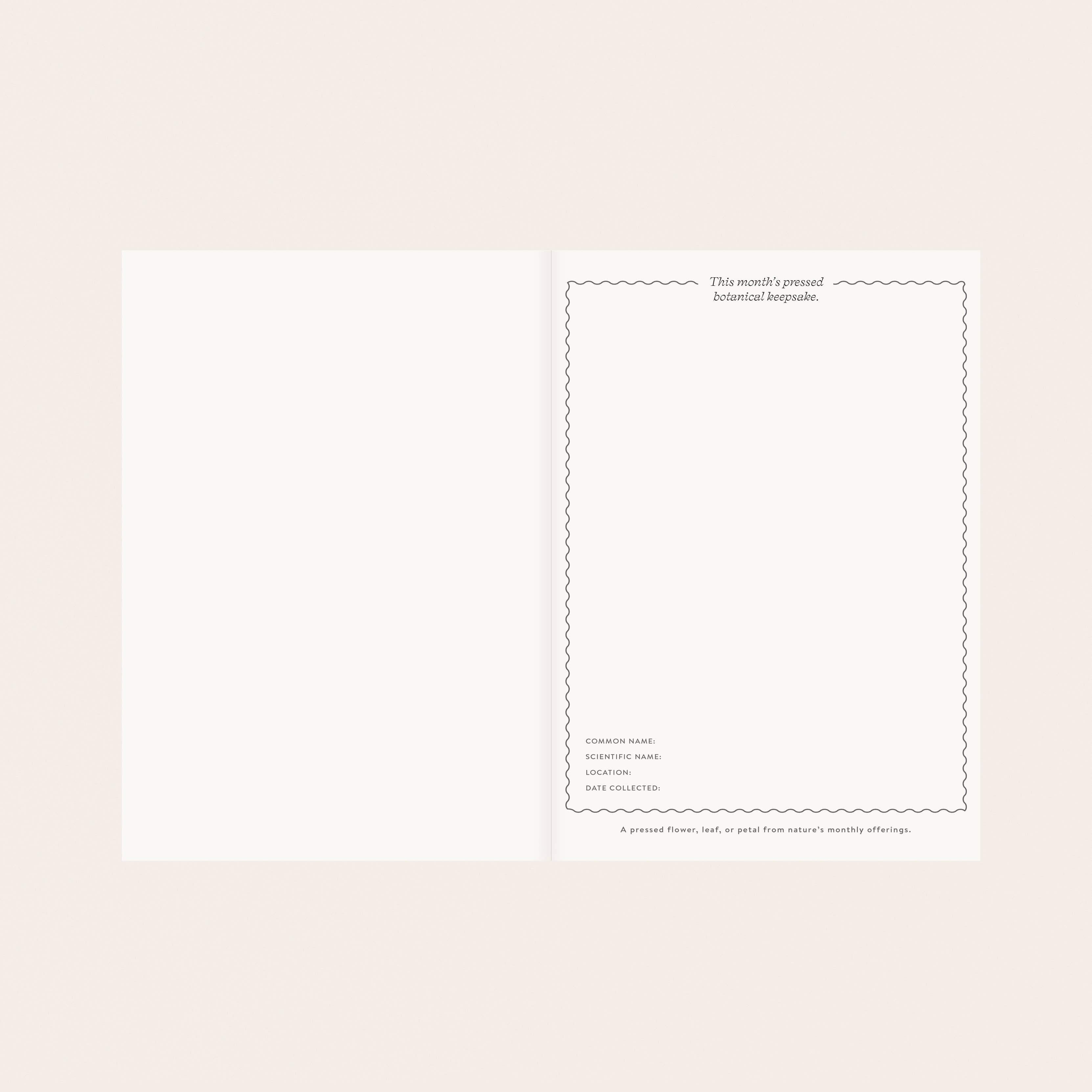 Herbarium Undated Linen Planner | Gold Botanical Embossing