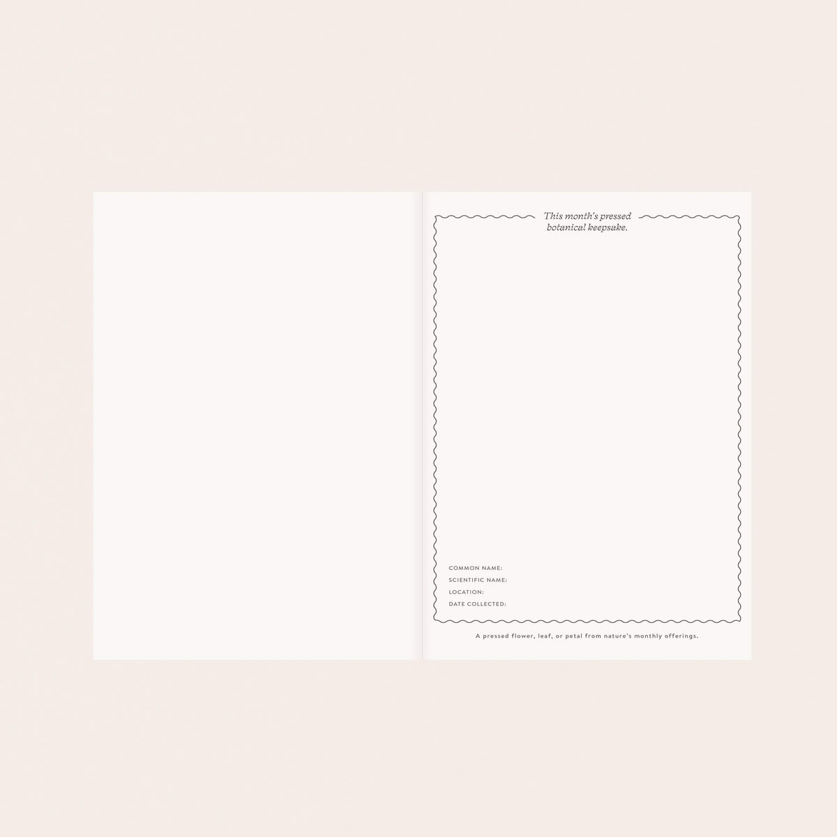 Herbarium Undated Linen Planner | Gold Botanical Embossing