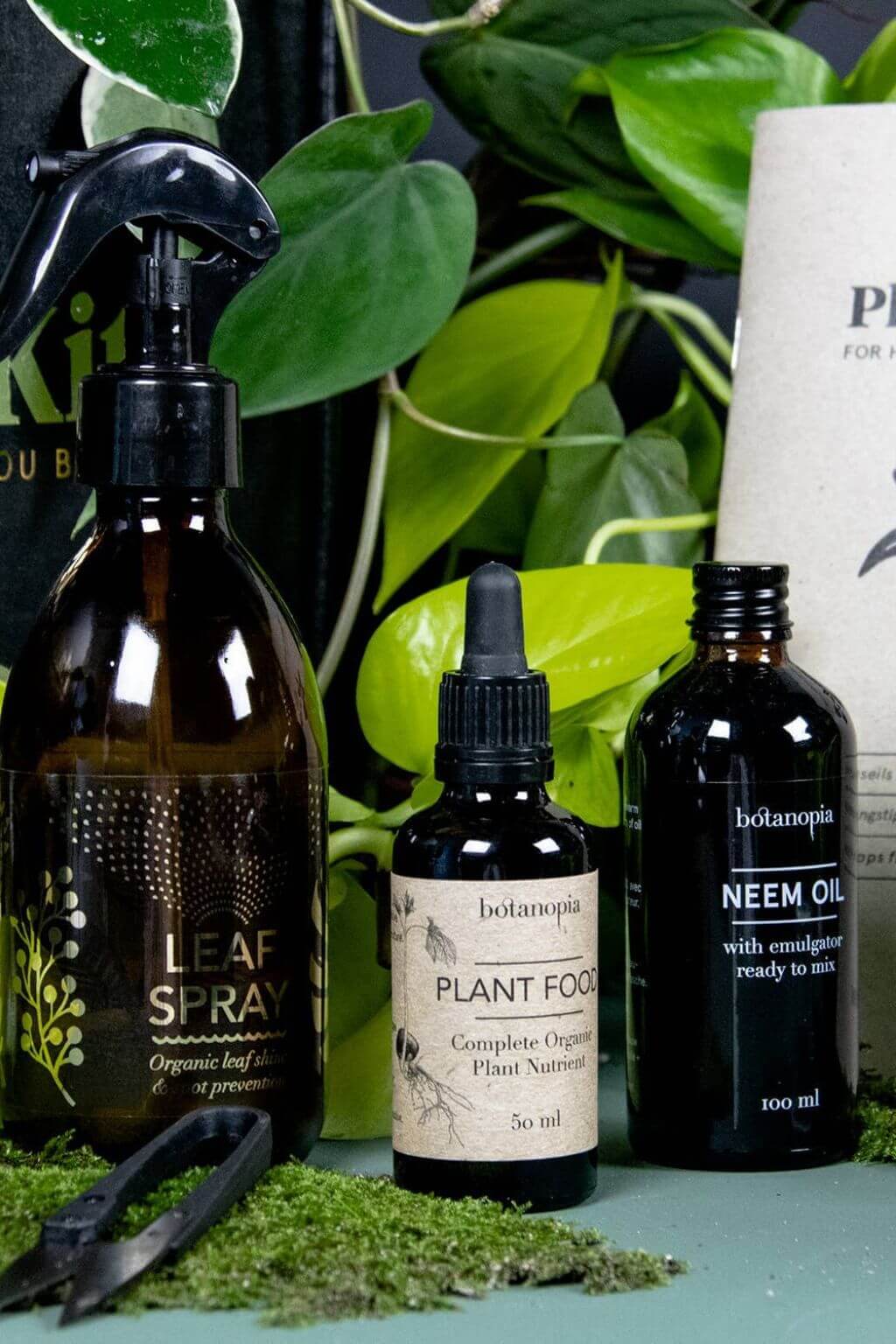 Indoor plant care products with houseplants background