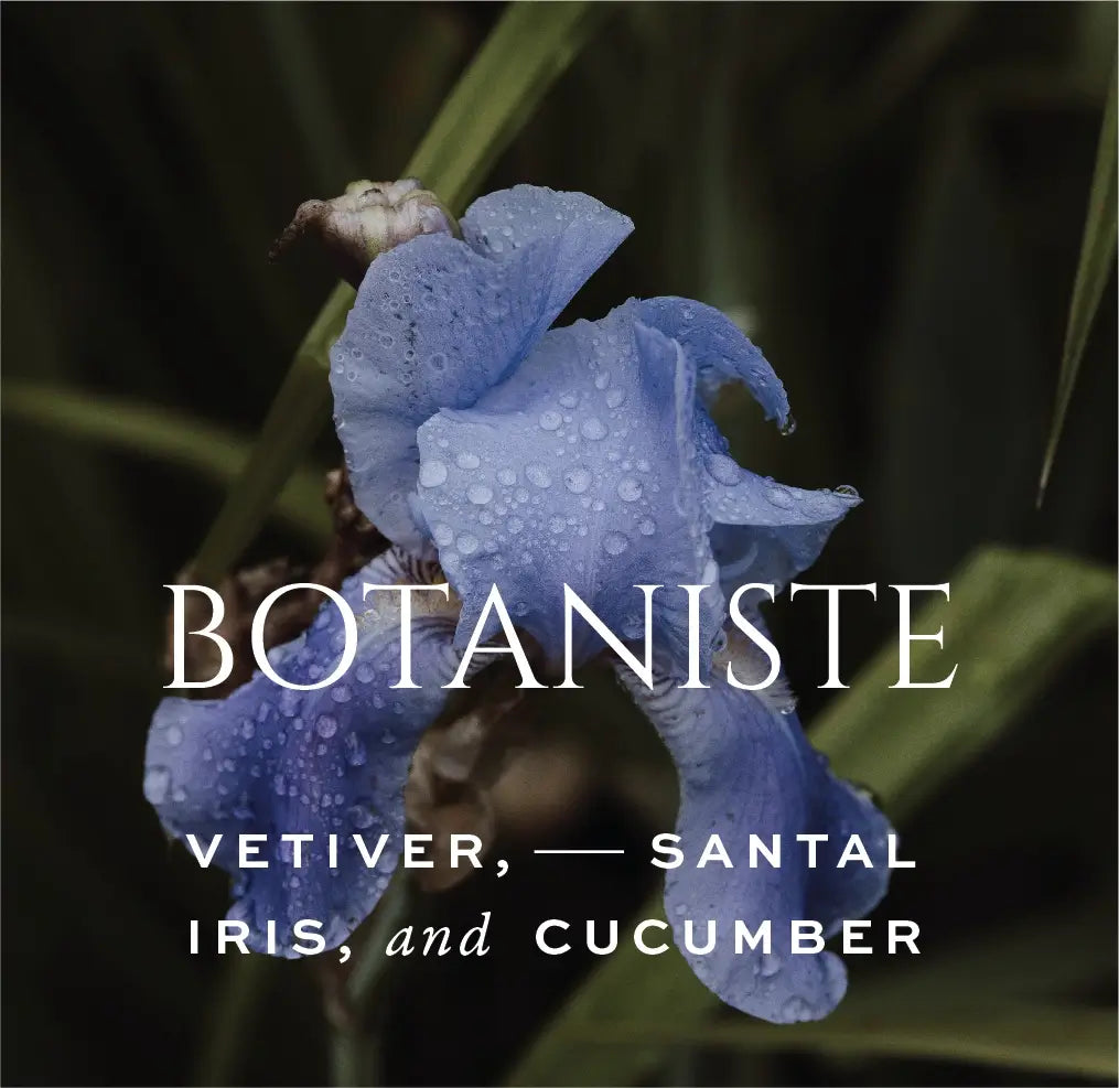 Botaniste fragrance iris flower scent inspiration