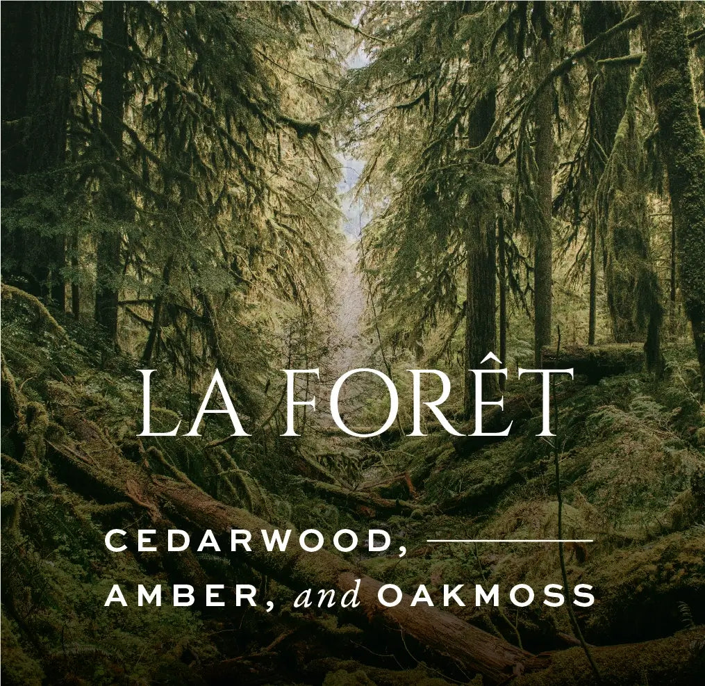 La Forêt Refillable Candle | Cedarwood, Amber + Oakmoss