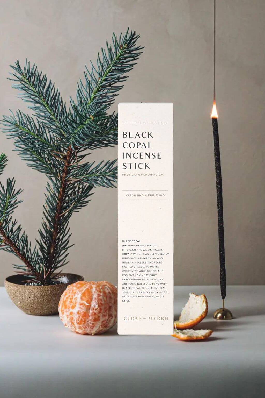 Black copal incense with an evergreen sprig, orange, and burning stick of incense on a neutral background
