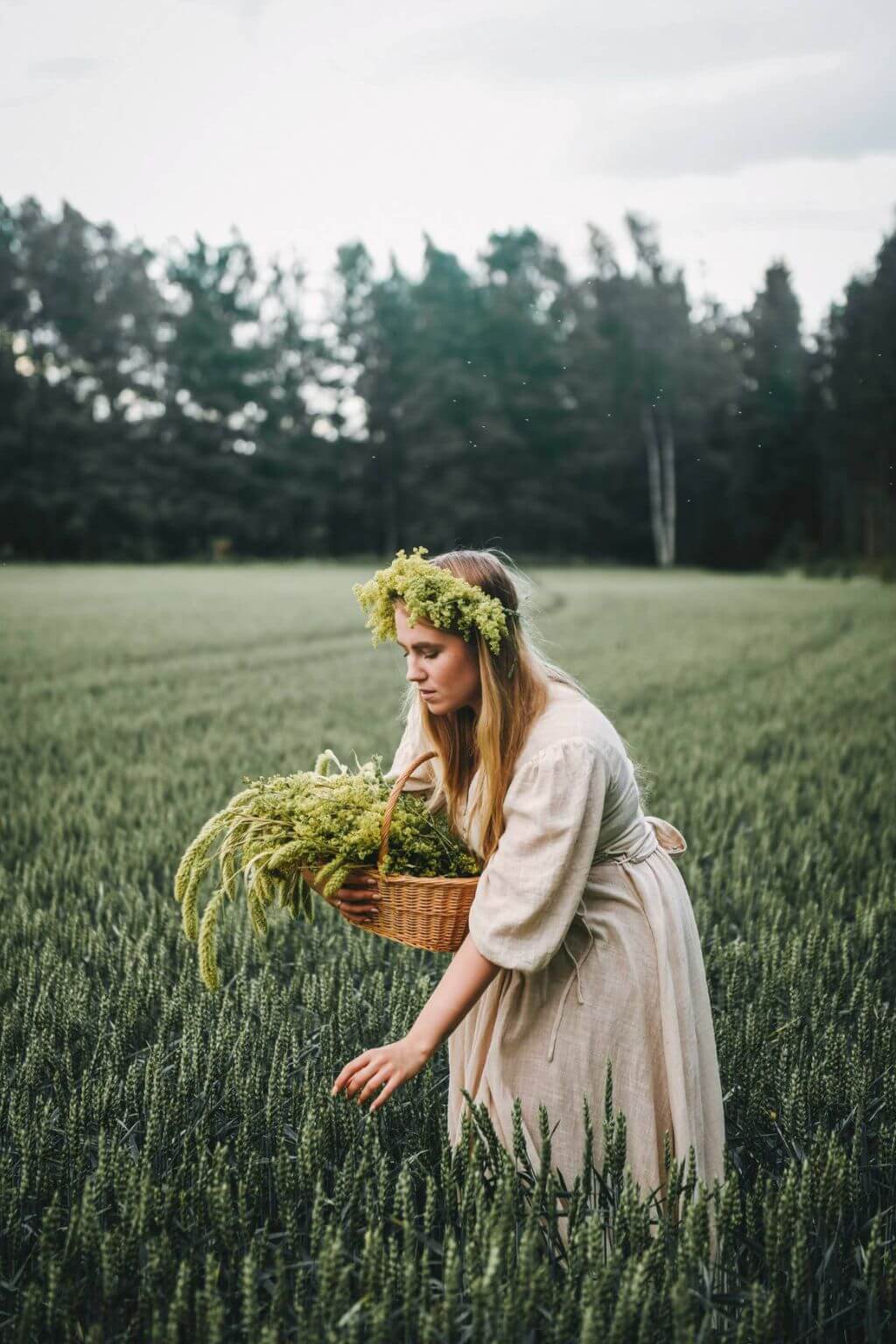Woman harvesting grain in a summer field inspired by Nordic countryside traditions