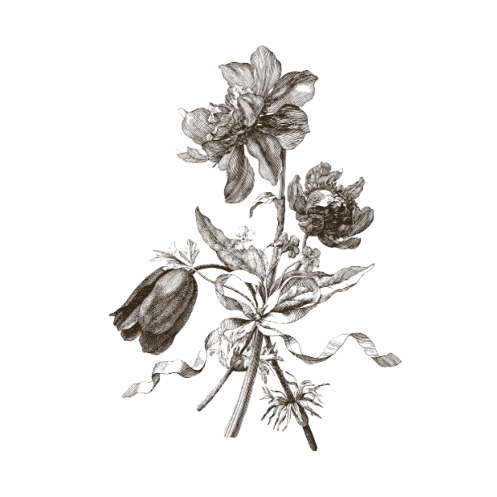 A monochrome botanical illustration of flowers and leaves on a stem, rendered in a sketch-like sepia or gray ink style against a plain white background.