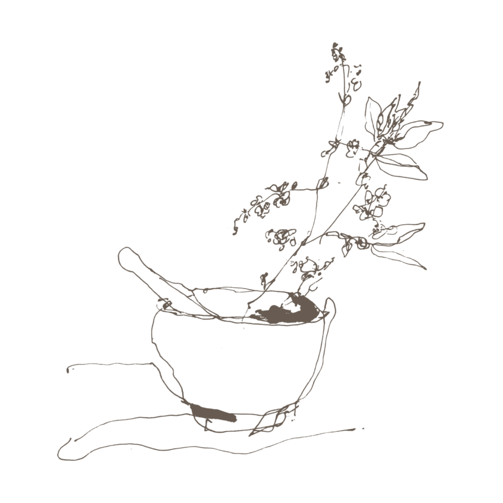 Minimalist line art illustration of a hand holding a mortar and pestle with a flowering plant sprig, rendered in dark brown ink on a solid white background.