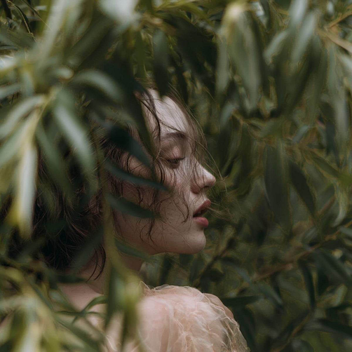 A woman in profile with dark hair, framed by dense green leaves, wearing a sheer pale pink top.