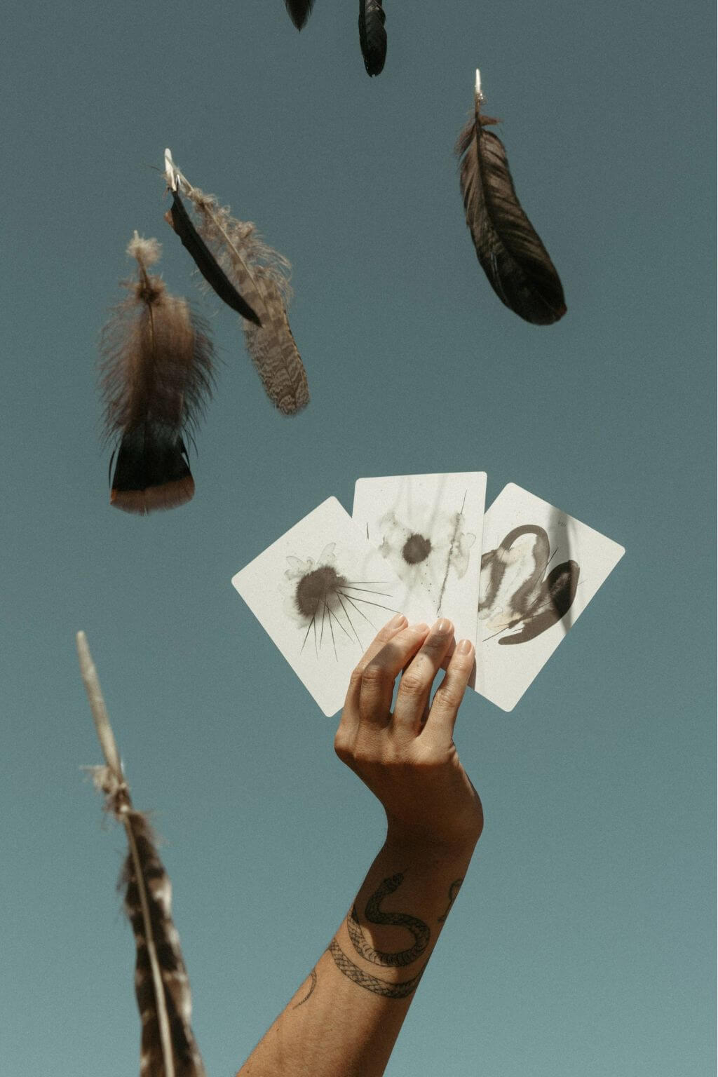 tarot cards held in hand with feathers suspended above