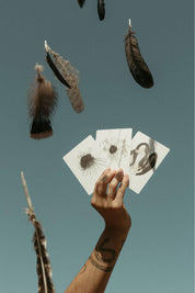 tarot cards held in hand with feathers suspended above