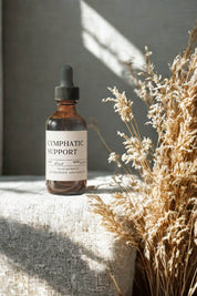 evergreen apothecary lymphatic support herbal tincture with dried botanicals in warm sunlight