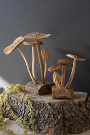 Hand carved teak wood mushroom clusters set on wood base