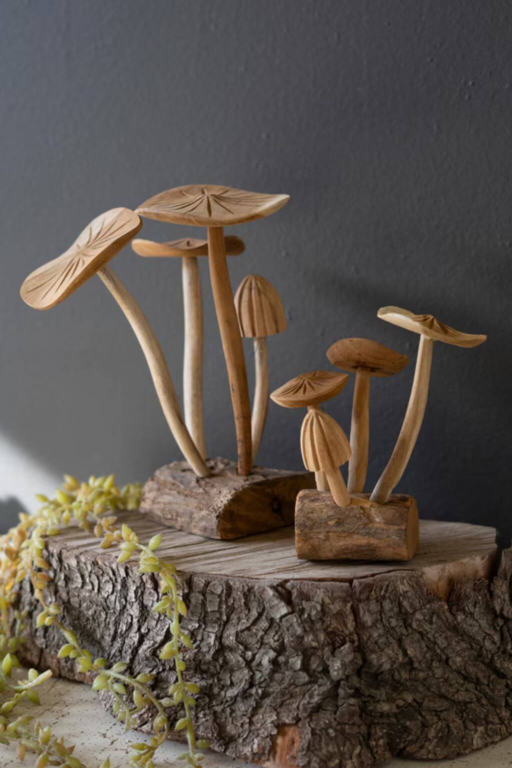 Hand carved teak wood mushroom clusters set on wood base