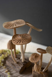 Close up of carved wooden mushroom caps with natural grain