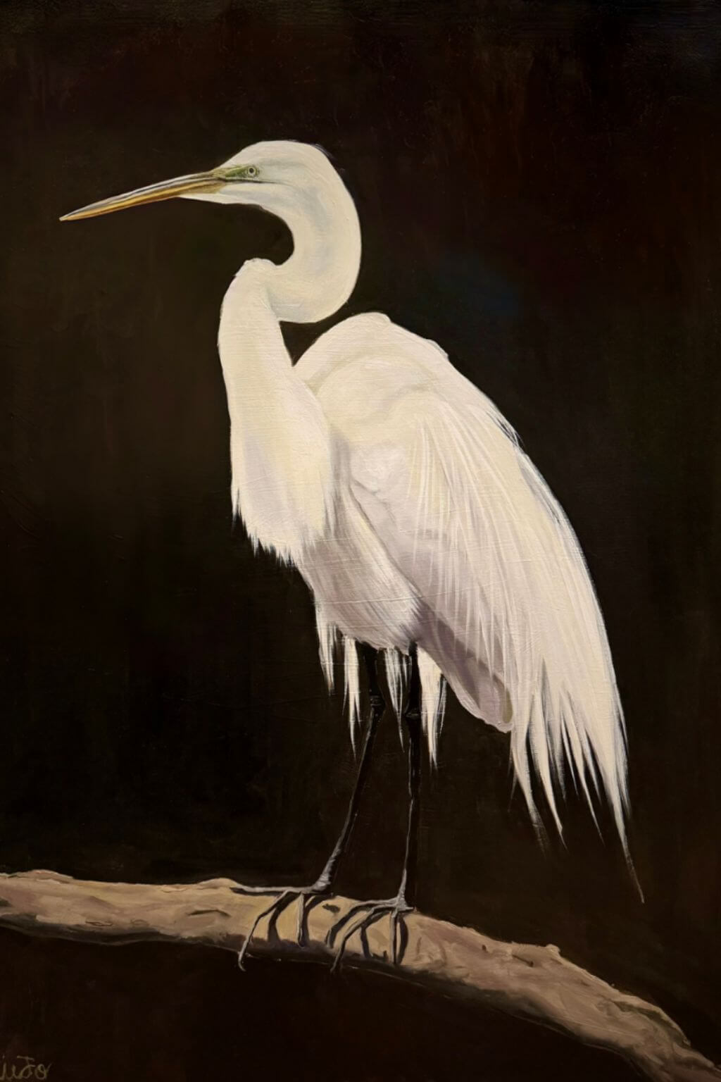 close up egret painting soft feather detail