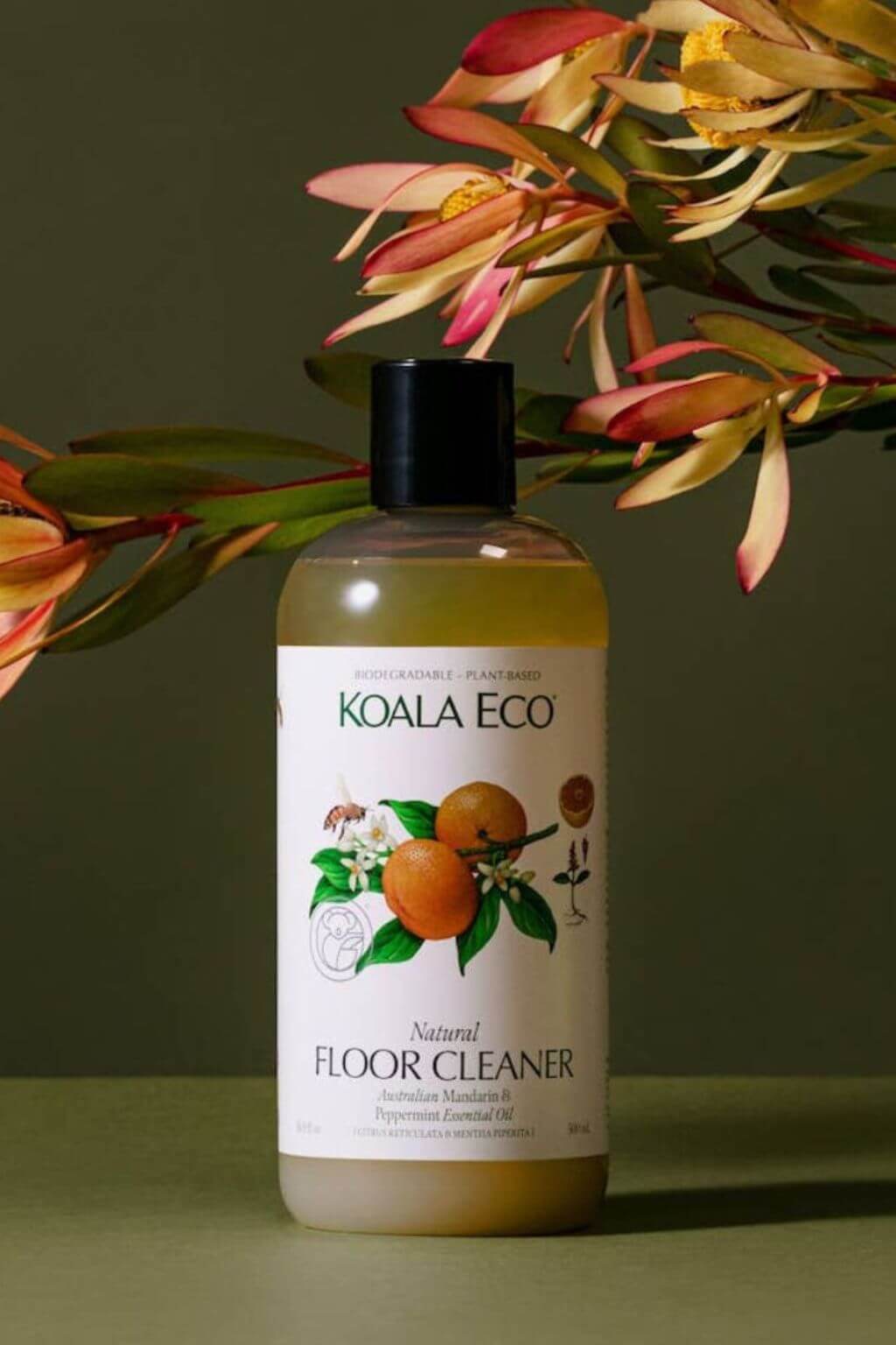 Koala Eco Natural Floor Cleaner bottle with a label featuring oranges and leaves on a green background.