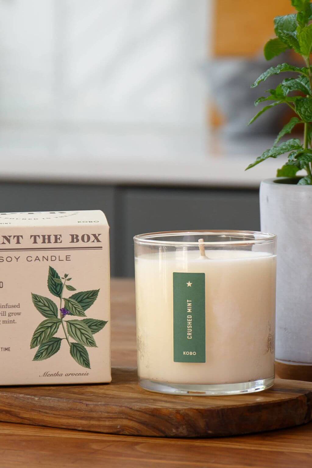 A glass jar candle labeled 'Scented Mint' sits on a wooden tray next to its cream-colored packaging box, with a blurred kitchen background and a potted plant.