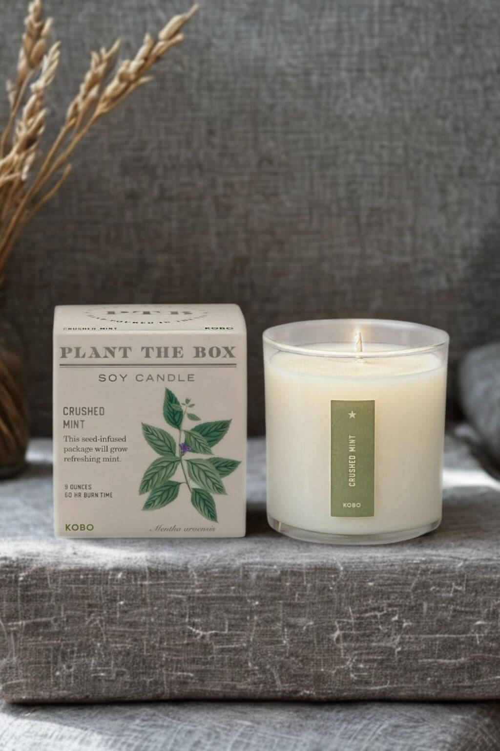 A lit soy candle in a clear glass jar sits beside its cream-colored product box on a gray stone surface, with dried wheat stems and a textured gray fabric backdrop.