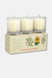 Three votive candles in glass holders on a plantable box labeled 'Endless Summer' with botanical designs.