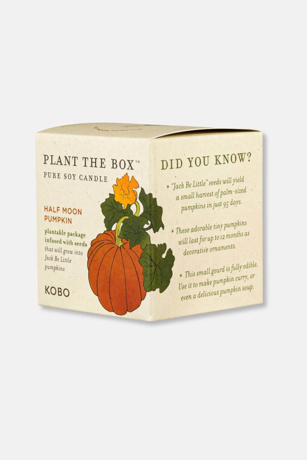Half Moon Pumpkin | "Plant the Box" Jar Candle