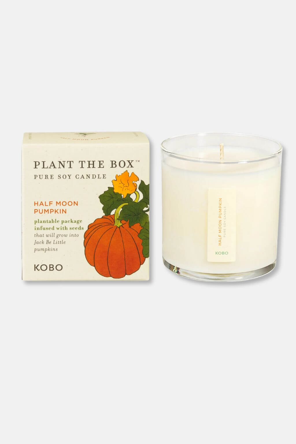 Half Moon Pumpkin | "Plant the Box" Candle