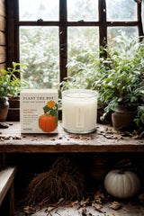 Half Moon Pumpkin | "Plant the Box" Candle