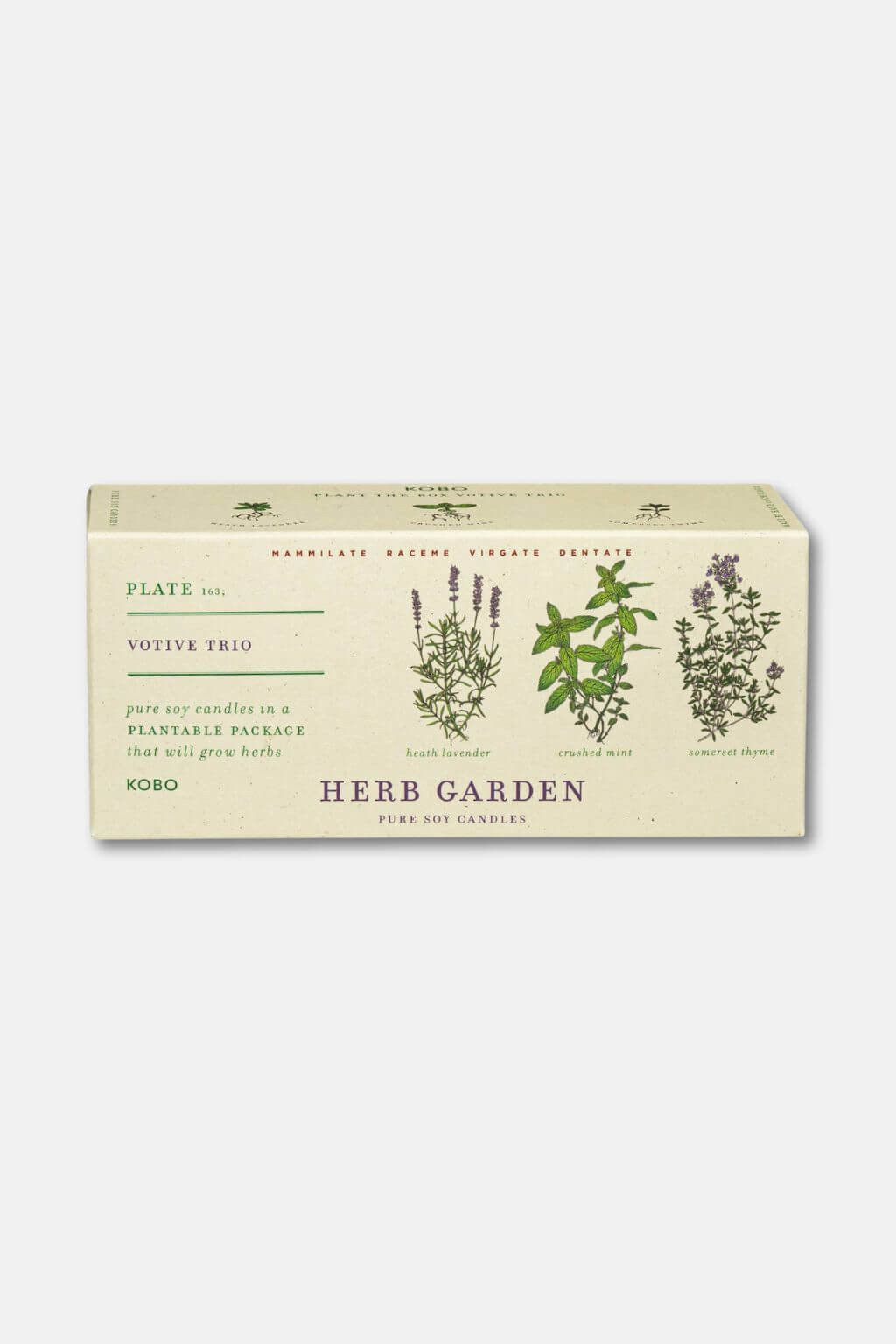 Herb Garden | "Plant the Box" Votive Candle Trio