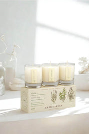 Herb Garden | "Plant the Box" Votive Candle Trio