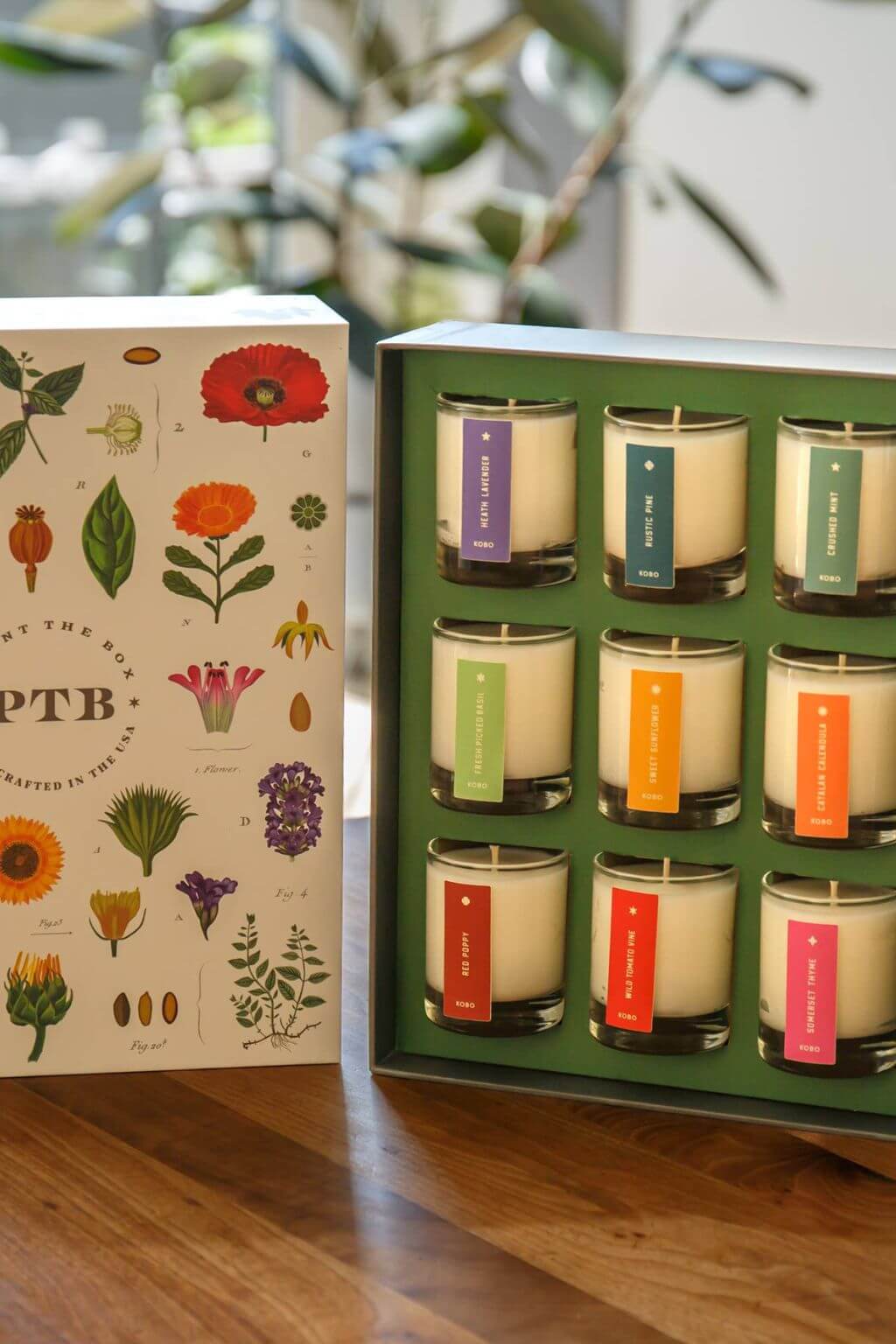 Plant the Box Votive Gift Set