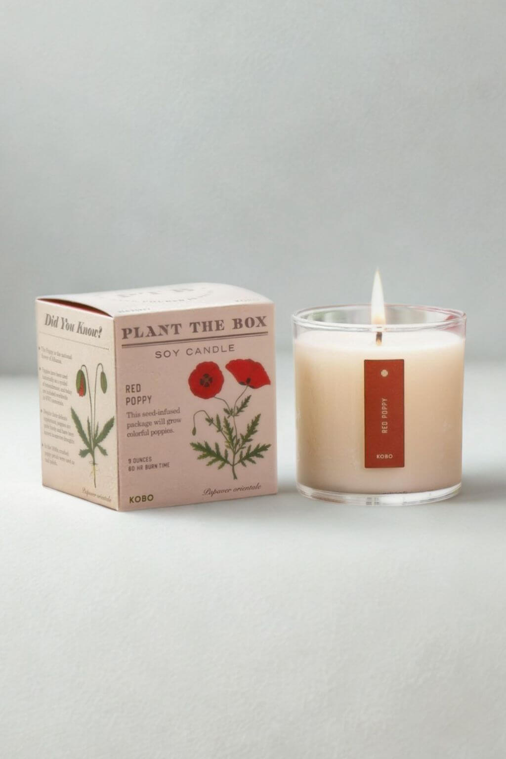 A lit soy candle in a clear glass jar sits beside its illustrated product box on a light gray background. The box reads "PLANT THE BOX" and "RED POPPY," with botanical drawings and a small red label on the candle.