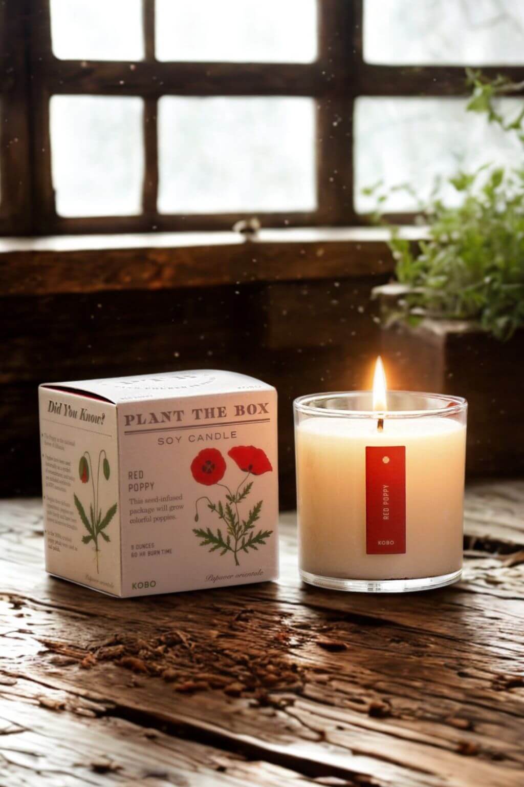 A lit soy candle in a clear glass jar sits on a rustic wooden table next to its illustrated product box. The box reads "PLANT THE BOX" and "RED POPPY," with botanical drawings and a red poppy illustration.