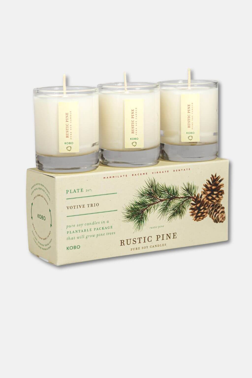 Three candles in a decorative box labeled 'Rustic Pine' on a white background