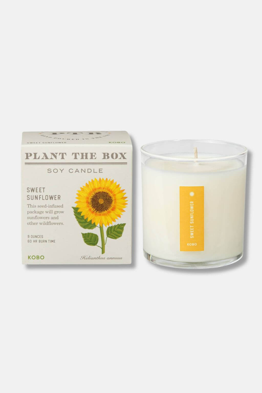 Plant the Box Sweet Sunflower soy candle in a clear glass jar next to its white cardboard packaging box featuring a yellow sunflower illustration.