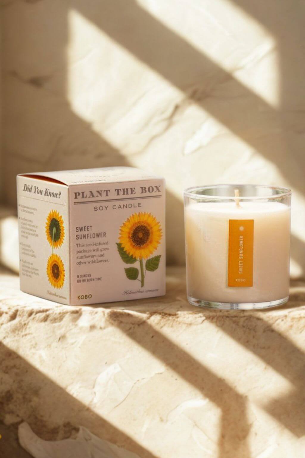 A soy candle in a clear glass jar sits beside its printed box on a stone surface, with warm sunlight and window shadows casting across the scene. The packaging shows sunflower graphics and the text 'PLANT THE BOX' and 'EMULY SUNFLOWER'.