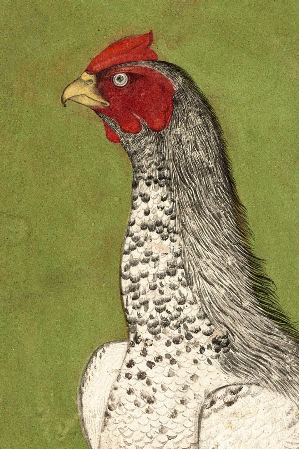 Vintage Rooster Art Print, 5x7"